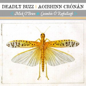 Deadly Buzz (Aoibhinn Crónán)