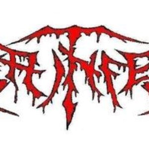 Litter infection 的头像