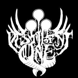 Coven of the Pestilent One 的头像