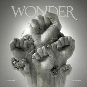 Wonder [Explicit]