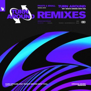 Turn Around (Hey What's Wrong with You) [Remixes]