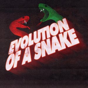 Avatar for Evolution of a Snake: The Taylor Swift Podcast