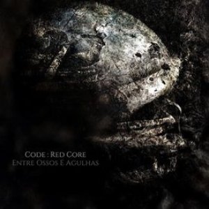 Entre Ossos E Agulhas - Single