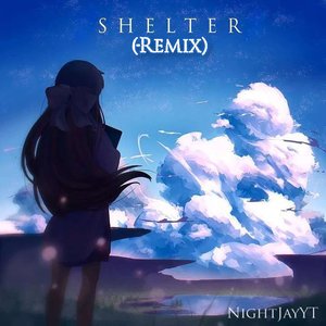 Shelter (Remix)
