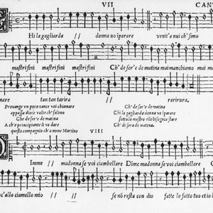 Avatar for Giovanni Domenico da Nola