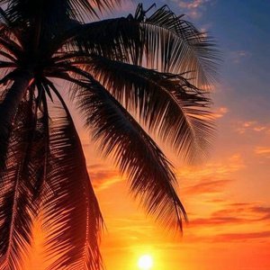 Chillout Lounge Relax 的头像