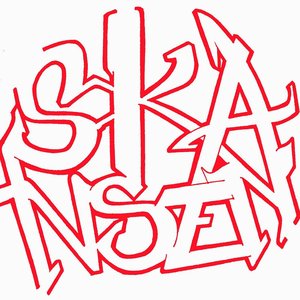Skansen 的头像