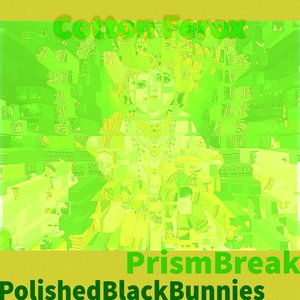 Prism Break & Polished Black Bunnies