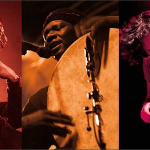 Immagine per 'Raoul Björkenheim / William Parker / Hamid Drake'