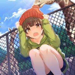 Avatar for 坂上八葉(CV.日高里菜)