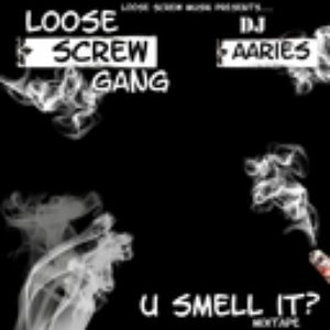Avatar for Loose Screw