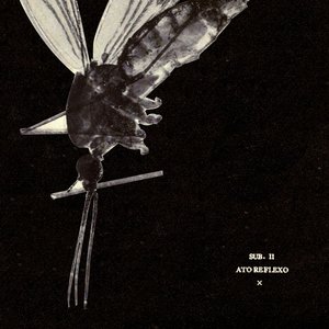 Cadáveres: Ato Reflexo