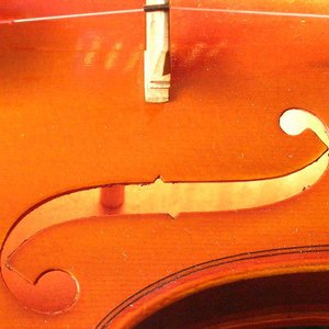 Cranberry Lake Jug Band 的头像