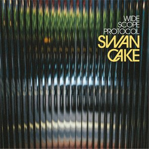 Swan Cake