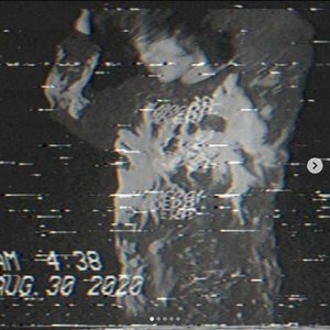 Walls of Flesh 的头像