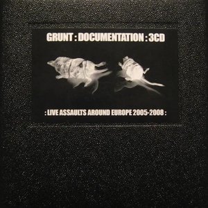 Documentation: Live Assaults Around Europe 2005-2008