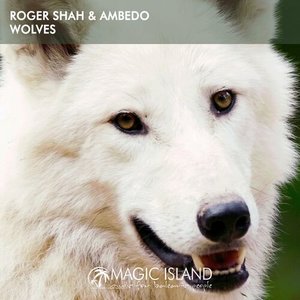 Avatar for Roger Shah, Ambedo