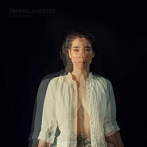 TRANSELEMENTES