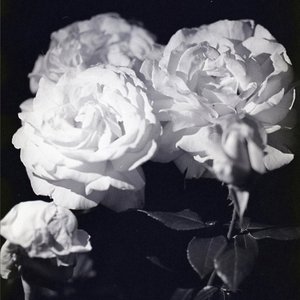 Darker / Hear
