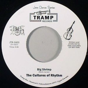 The Cultures Of Rhythm 的头像