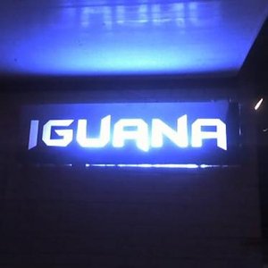 iguana club 的头像