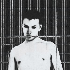 Dan Bonnibell 的头像