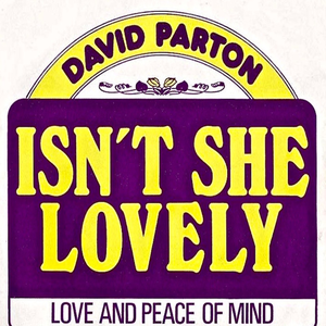 David Parton - A to Z Of The 70