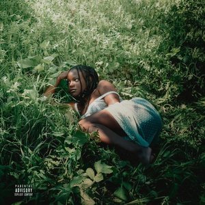 toes in the grass - Single