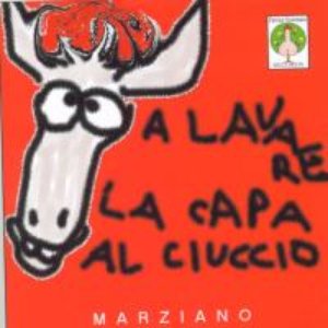 A lavare la capa al ciuccio