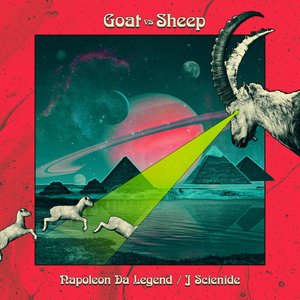 Goat vs Sheep