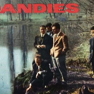 I Dandies 的头像