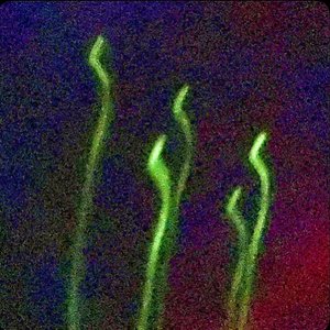 Bedroom - Single