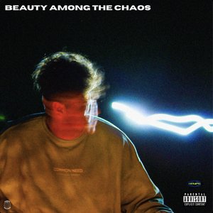 BEAUTY AMONG THE CHAOS