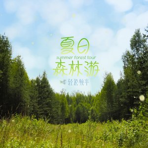 夏日森林游