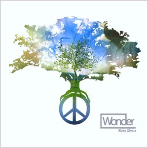 Wonder