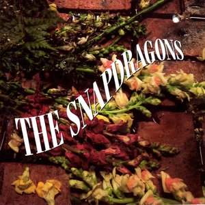The Snapdragons