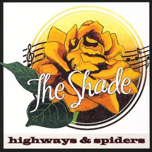 Highways and Spiders