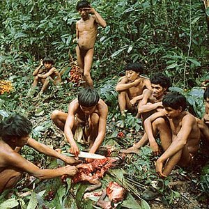 “Yanomami Young Men”的封面