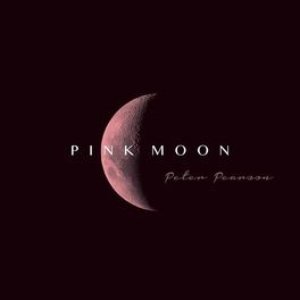 Pink Moon