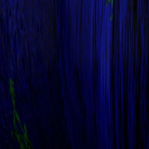 Beginner's Mind Signal Funk