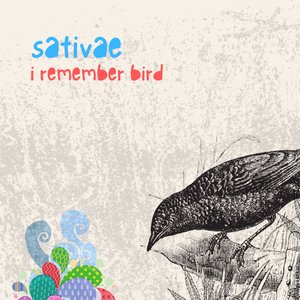 i remember bird