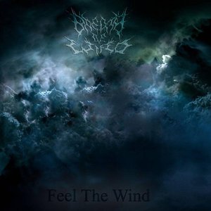 Feel The Wind