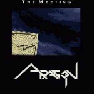 The Meeting cover