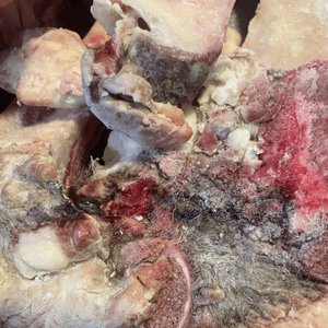 カビが生えてる…