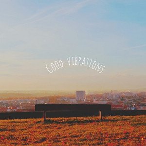 Good Vibrations - Single