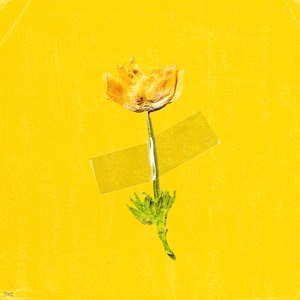 Flowers On My Eyes