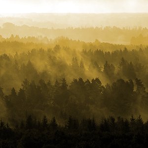Off The Beaten Track EP