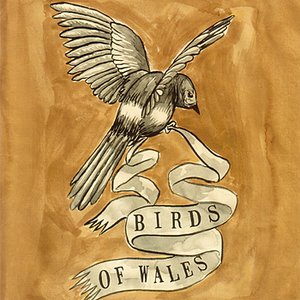 Birds of Wales