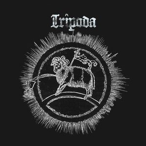 Tripoda 的头像