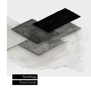 Trace Horse